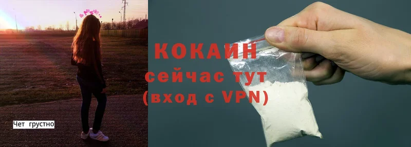 Cocaine VHQ  купить наркотик  Буй 